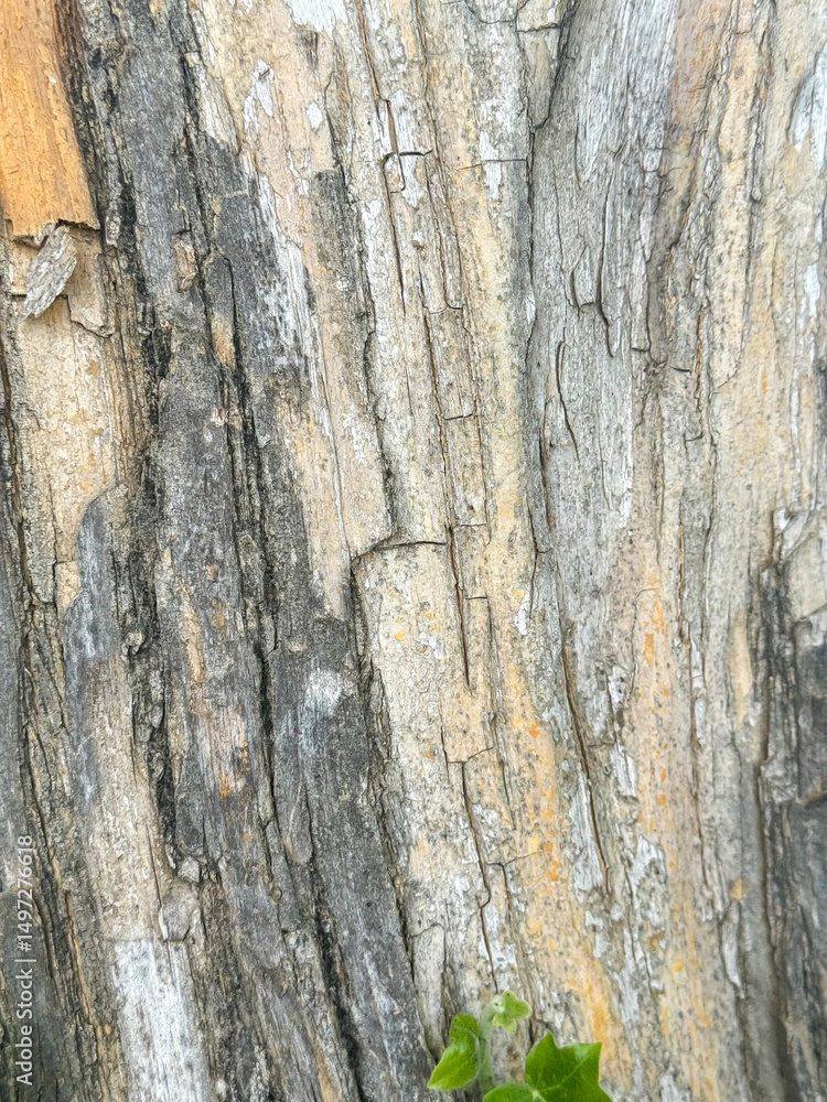 Obraz premium Detailed Vertical Bark Pattern of Mature Tree With Natural Textures