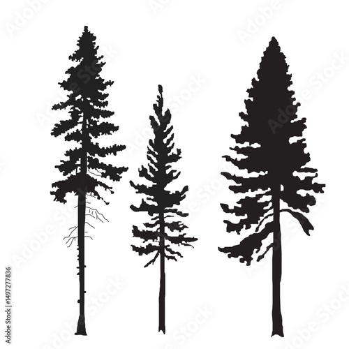 silhouette tree line drawing set, Side view, set of graphics trees elements outline symbol for architecture and landscape design drawing. Vector illustration in stroke fil. Tropical