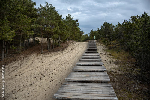 A quiet wooden path winds through a pine forest, drawing the eye toward the soft green horizon. Nature and structure merge in this peaceful, moody woodland scene.