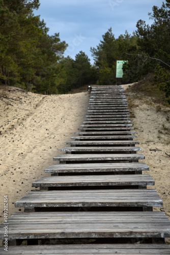 Wooden stairs leading up through a forest clearing, inviting you to climb toward the sky. A peaceful escape framed by pines and spring-green leaves.