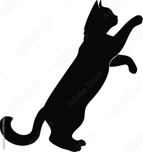 Black silhouette of a playful cat standing on its hind legs with front paws raised, as if reaching or playing.  Perfect for use in pet-themed graphics, logo design, minimalist art
