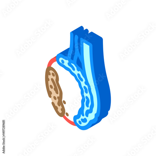 testicular cancer urology isometric icon vector illustration