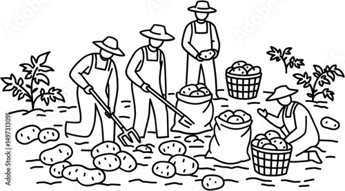 Farmers harvesting potatoes in field during daytime   