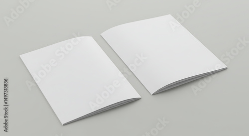 Blank Brochure Mockup Two Folded White Paper Pamphlets