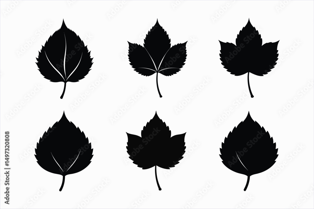 Obraz premium set of chestnut leaf silhouette vector illustration