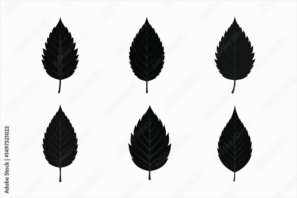 Fototapeta premium set of ash leaf silhouette vector illustration