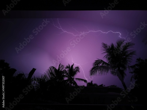 Purple lightning storm over silhouetted palm trees at night
