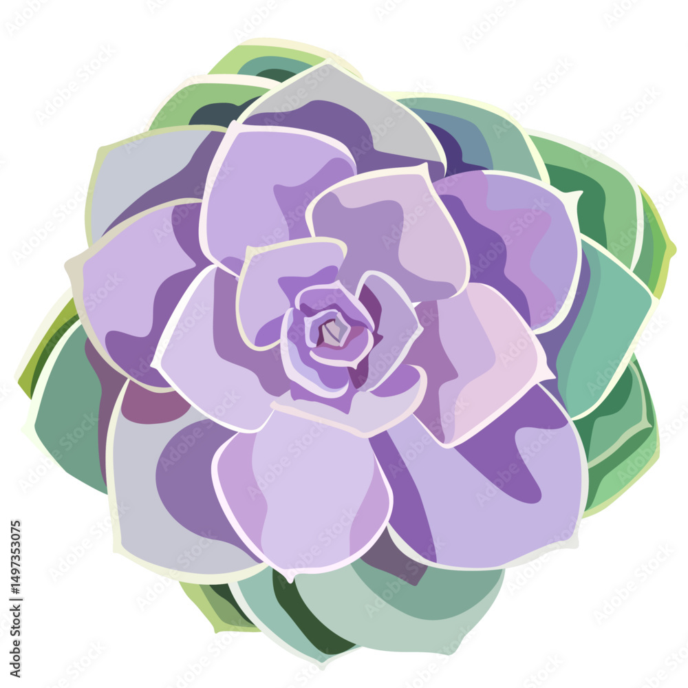 Obraz premium Succulents vector illustrations colorful