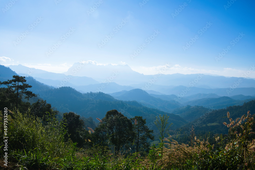Fototapeta premium mountain landscape with trees
