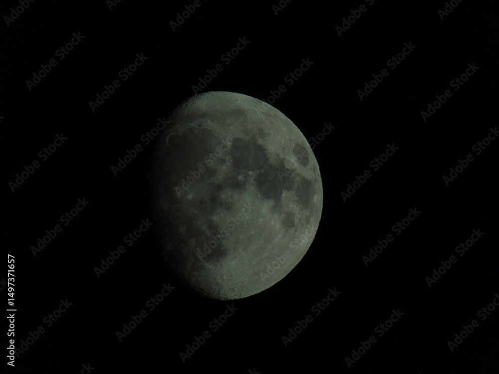 Fototapeta premium moon in the night sky