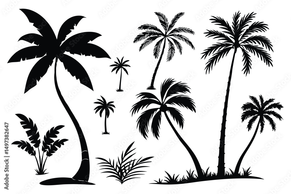 Fototapeta premium set of palm trees vector 