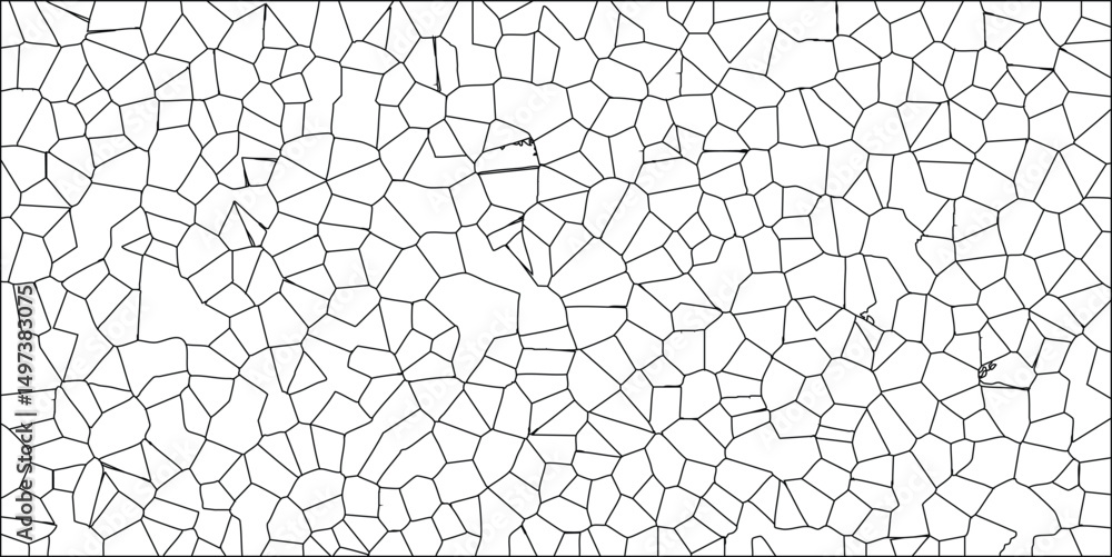 Obraz premium Abstract black and white cellular structure texture creating organic geometric pattern in a seamless arrangement for background use