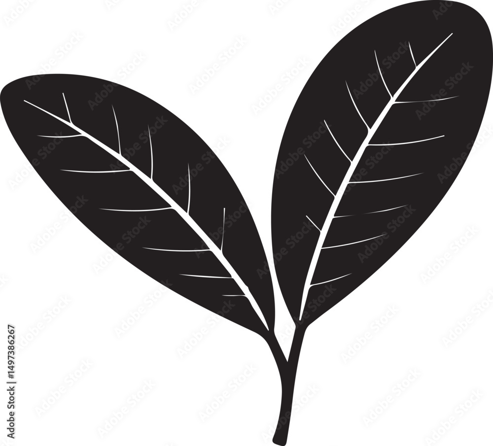 Fototapeta premium Guava Leaf Natural Illustration in Silhouette Vector Format