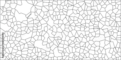 Abstract geometric pattern with irregular shapes and polygon cells black lines against a white background vector illustration