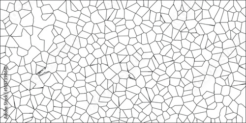 Black and white abstract cellular pattern showing a complex network of polygonal shapes with white spaces and artistic design.
