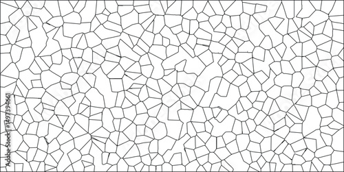 Geometric abstract pattern in black lines with irregular cell-like structures on a white background suitable for backgrounds and designs