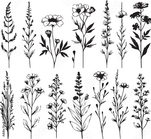minimal botanical graphic sketch drawing, trendy tiny tattoo design, floral elements vector illustration