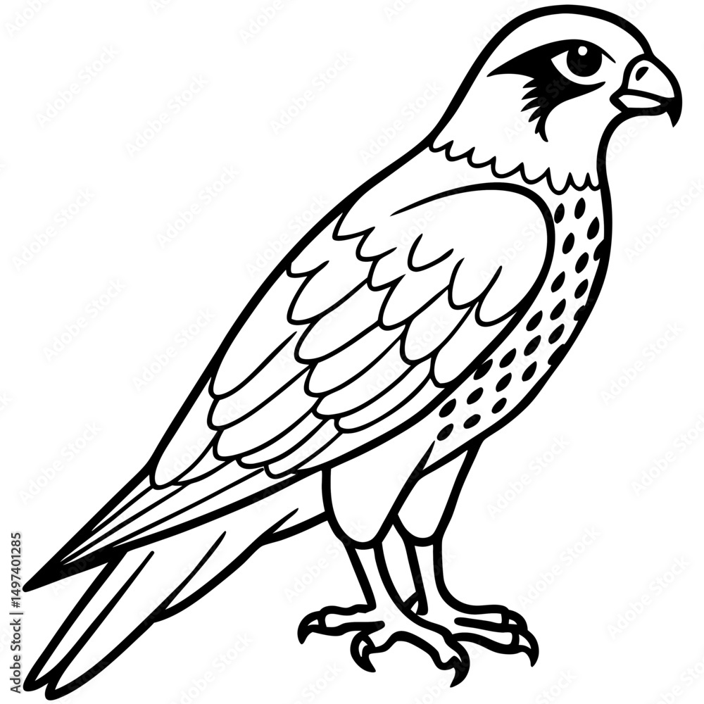 Obraz premium Northern Falcon line art vector