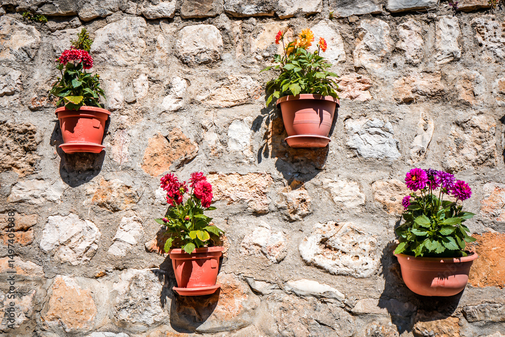 Naklejka premium Multicolored Petunias in Pots on Wall in Ulcinj, Montenegro
