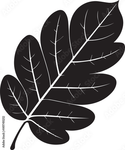 Walnut Leaf Silhouette Vector | Black Vector Art Illustration