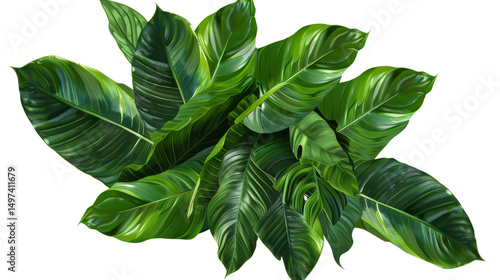 Lush Tropical Leaves Compos...