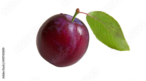 Single Plum with Leaf, Isol...