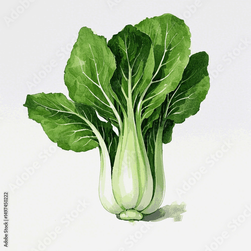 Pale Stems & Jade Flow bok choy isolated watercolor vector illustration svg