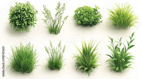 Wallpaper Mural green grass isolated on white Isometric Plant â€“ Grass and bush, 3D render Torontodigital.ca