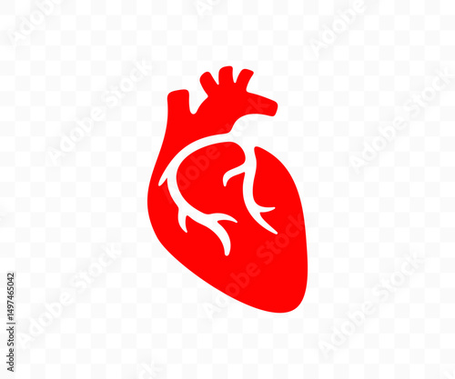 Heart, cardiology, medical and medicine, graphic design. Cardiac, cardiovascular and heartbeat, vector design and illustration
