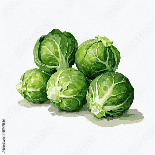Emerald Buds in Wash brussels sprouts isolated watercolor vector illustration svg