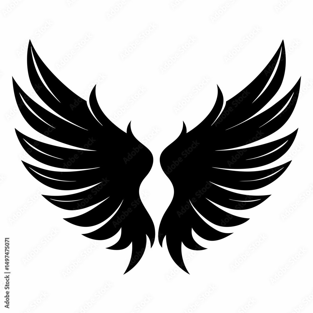 Obraz premium eagle with wings