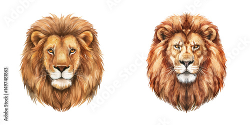 lion head watercolor vector illustration