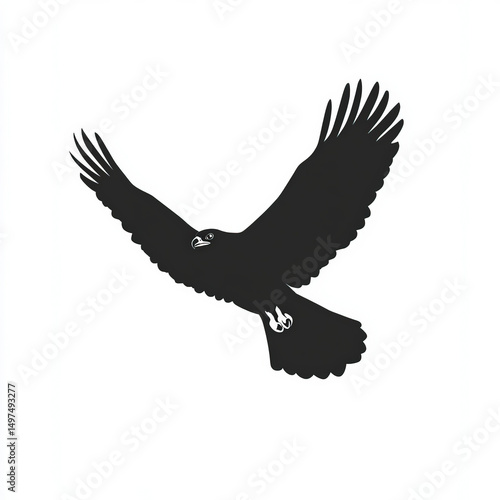 hawk silhouette , black and...
