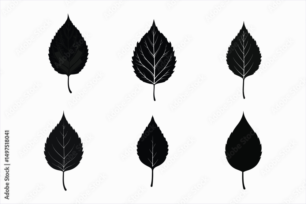 Fototapeta premium set of poplar leaf silhouette vector illustration