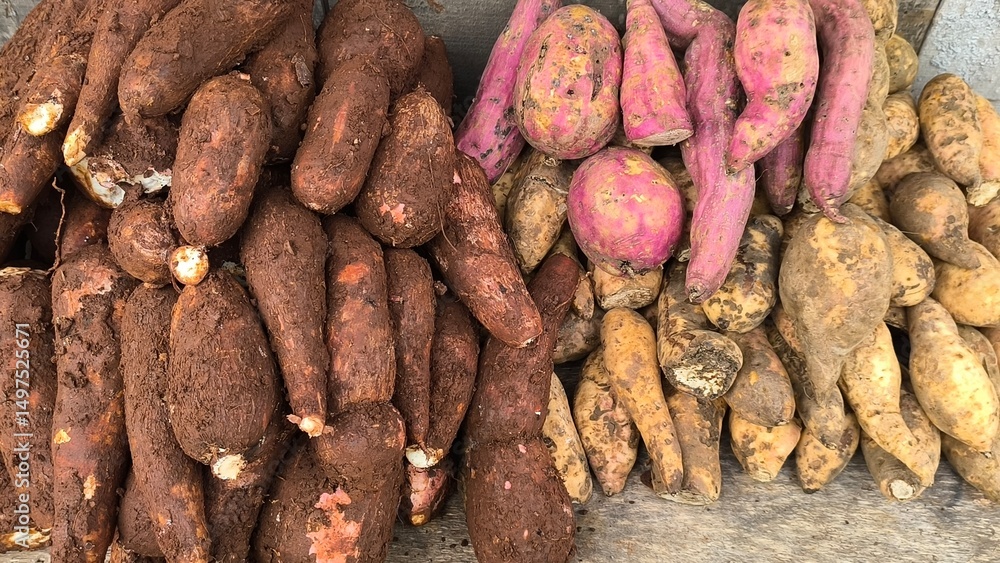 Fototapeta premium cassava and sweet potatoes on the table