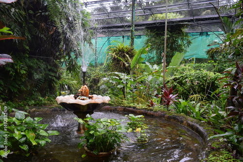 Photography Tropical Garden Fountain Surrounded by Lush Greenery in Kuala Lumpur Butterfly P