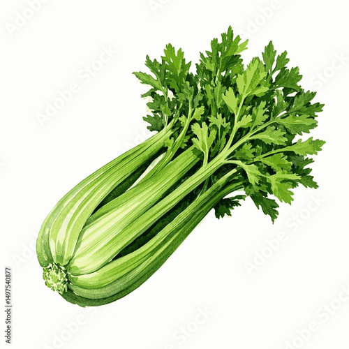 Celery Stalks in Aqua isolated watercolor vector illustration svg