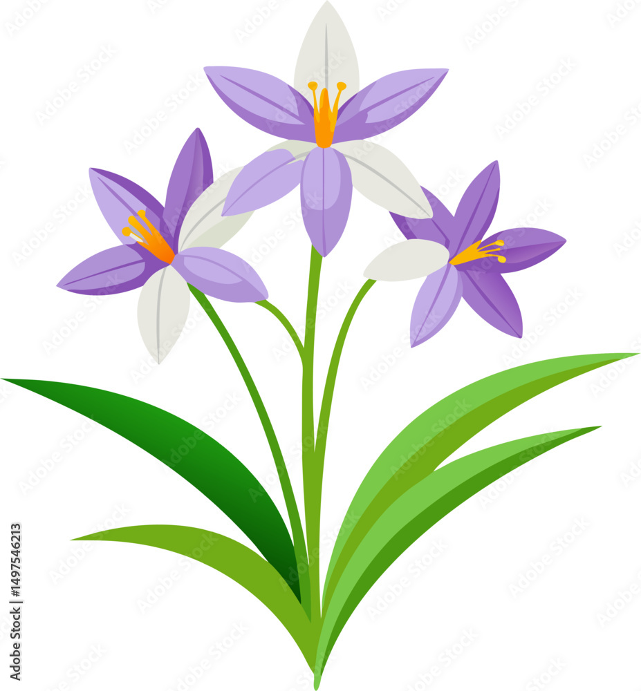 Anthericum flowers vector art icon white background Anthericum flowers vector art icon white background