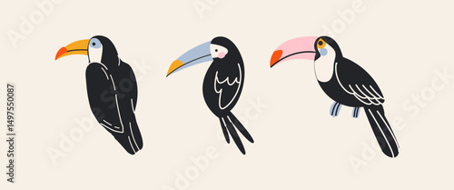 Toucan birds in retro cartoon style. Exotic animals: colorful toucans with large beaks in various poses. Illustration in funky, doodle style, trendy sticker set