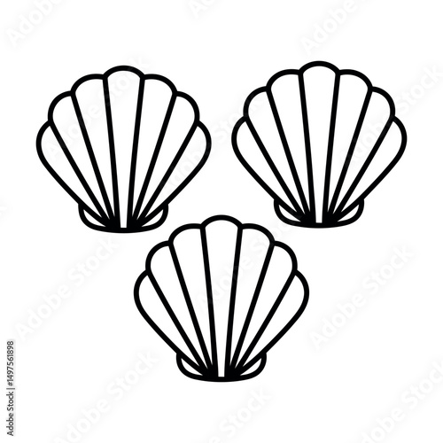 vector illustration of seashell