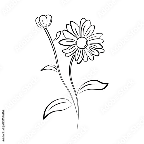 Flowers Vector isolate element. Black and white line art. Vector flowers and leaves, black and white graphics