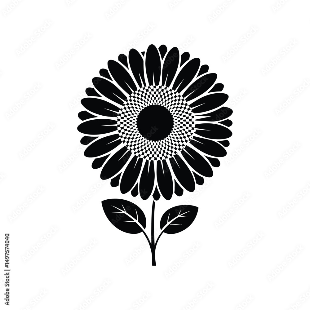 African daisy floral vector illustration
African daisy floral vector illustration