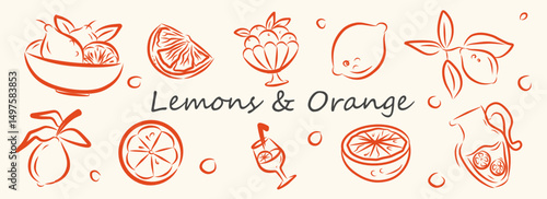 Hand drawn elegant style citrus fruits set. Vector cute doodle line sketch illustration of lemons, frame, wreath, cocktail glass and lemon tree for background, card, invitation or poster, packaging