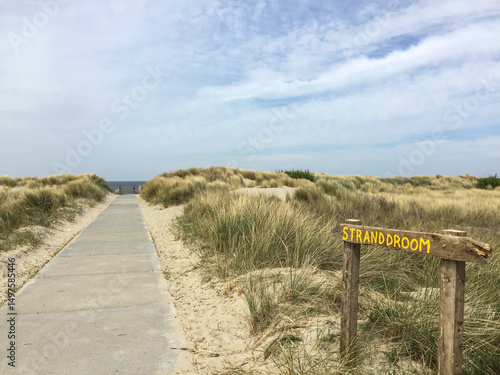 beach path in Zeeland Netherlands by the sea