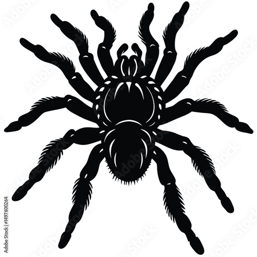 Black Tarantula Spider Illustration Vector Art Design