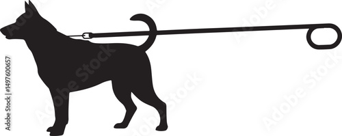 Silhouette of Dog on a Long Leash Walking