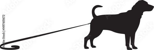 Silhouette of Dog on Leash Walking Away