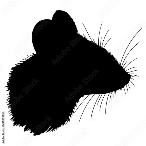Mouse head silhouette icon in black, isolated on white background.