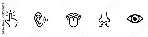 Human sense icons. Five human senses icons. Vision smell hearing touch taste senses fillings. Five fillings icons. Vector Illustration. Vector Graphic. EPS 10