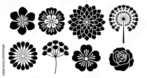 Floral illustration showcasing various flower designs in black silhouette style. Modern botanical folk art.